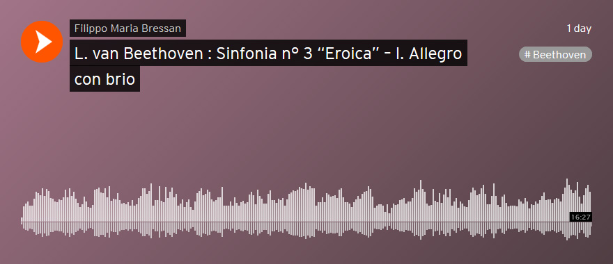 L. van Beethoven : Sinfonia n° 3 “Eroica” – I. Allegro con brio